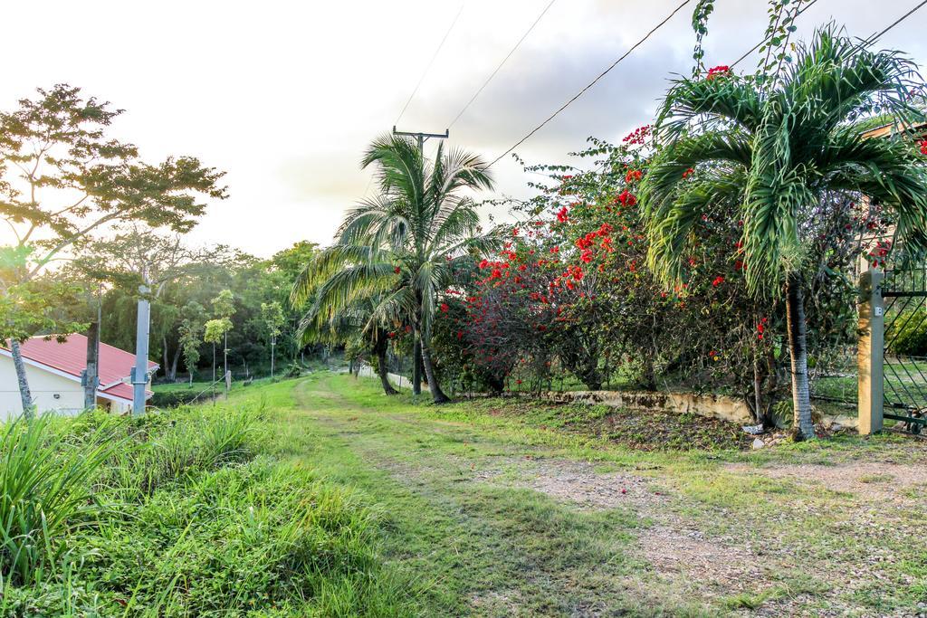 Villa Maya Сан-Игнасио Экстерьер фото